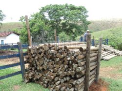 Armazenamento por tipo de moirão