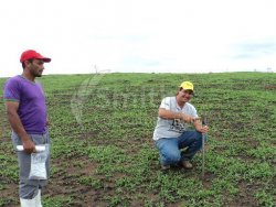 Coleta da amostra do solo para análise